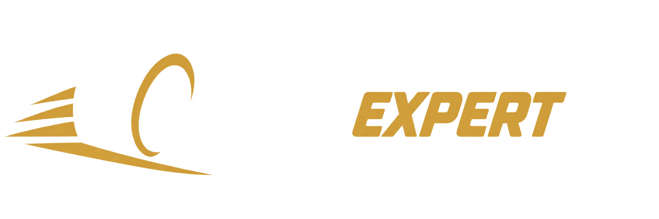 Pneu Expert