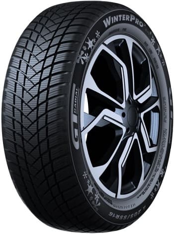 165/70 R 13 79T WINTER_PRO_2_EVO TL M+S 3PMSF GT RADIAL